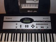 Teclado-roland-em-jr-61-teclas-conservado-10371-MLB20028435421 012014-F.jpg