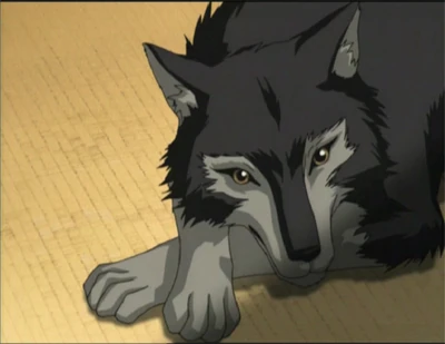 Inuki | X +CLAMP+ Wiki | Fandom