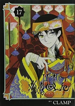Holic Volume 17