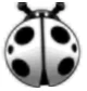 BeetleWhiteLadybug.png