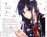 Limited Edition Back