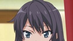 Oregairu Wiki Fandom Abandoned pet in a box: oregairu wiki fandom