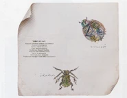 Limited Edition Tray