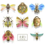 Limited Edition Front