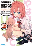 Cover Volume 13