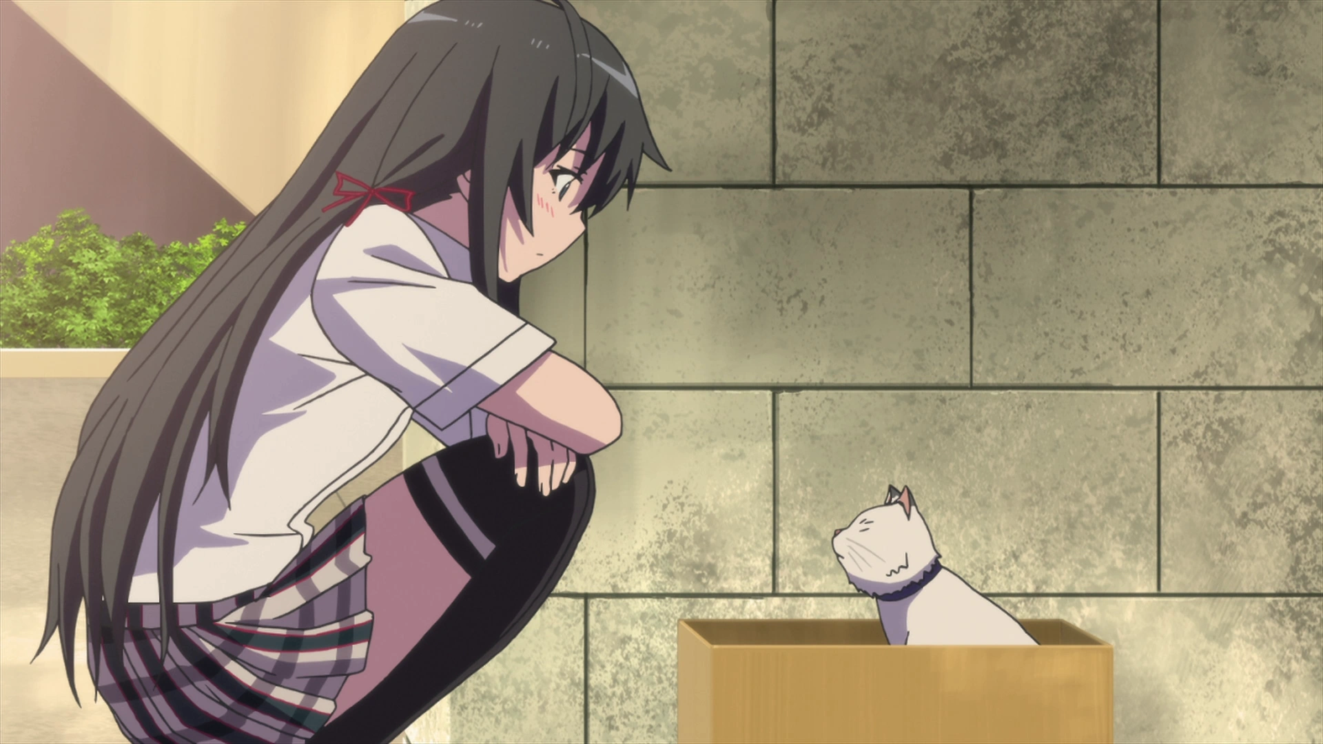 Yukino Yukinoshita | OreGairu Wiki | Fandom