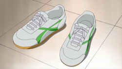 EP6 Sobu Indoor Shoes