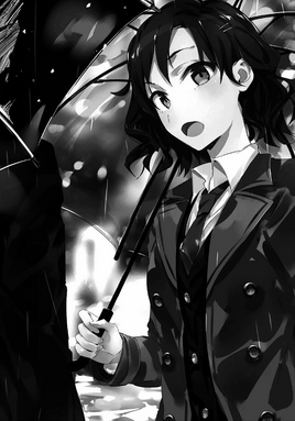 Light Novel