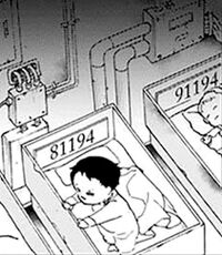 The Promised Neverland  Fãs criam teoria para numeração das crianças