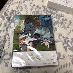  The Promised Neverland 1st Season (1-12 episodes) [DVD-PAL  format] (imported version) JAPANESE EDITION : Movies & TV
