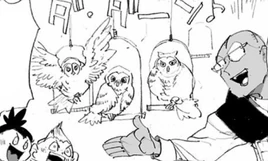 Vincent's owls 2