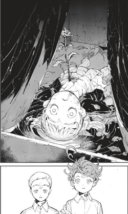 Ray (Anime)/Gallery, The Promised Neverland Wiki