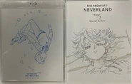American release