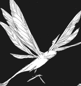 Flying newt manga