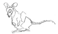 A demon mouse.