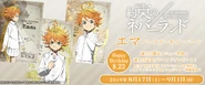 Emma's Birthday Banner