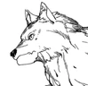 Ayshe dogs profile