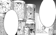 Various body parts of Factory Farm orphans preserved in jars at a Demon Village market.