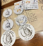 Coasters and pins