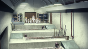 Shelter B06-32 Garden.png