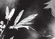 The winged newtlike creature.