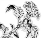 A bloomed Vida
