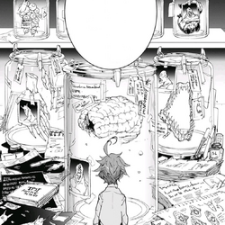 Category Volume 14 Chapters The Promised Neverland Wiki Fandom