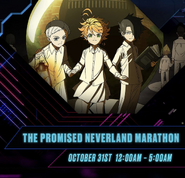 Toonami marathon