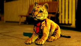 LADPYIH - Character Profile - Goro