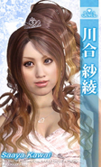 Saaya's In-Game Business Card