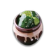 CucuPot