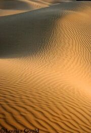 S Thar Desert 2006-1-