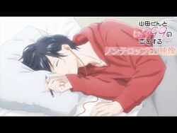 DISC] My Love Story with Yamada-kun at Lv999 will officially be