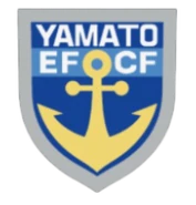 New type of ship patch, worn on the left arm[5]