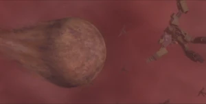 65th Escort Fleet at orbit