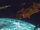 Ditz Fleet
