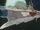 New EDF Battleship