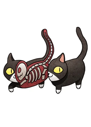 Han Neko | Yami Shibai Wiki | Fandom