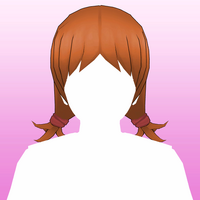 Hair 43b