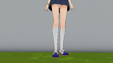 Default Socks.png