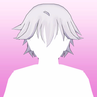 Hair 100b