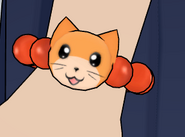 CatBracelet