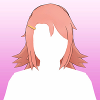 Hair 71b