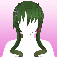 Hair 41b