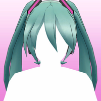 Hair 47b