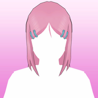 Hair 89b