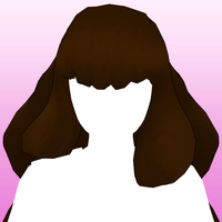 Hair 110b