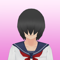 FakeStudentHairRef
