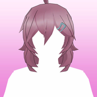 Hair 40b