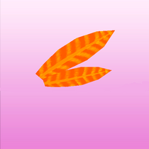 Council Feathers.png